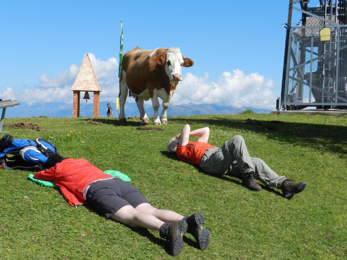 Ferienhaeuser Thalbach Heiligenblut Esterno foto
